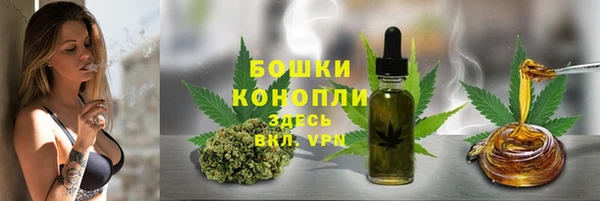 ГАЛЛЮЦИНОГЕННЫЕ ГРИБЫ Богданович