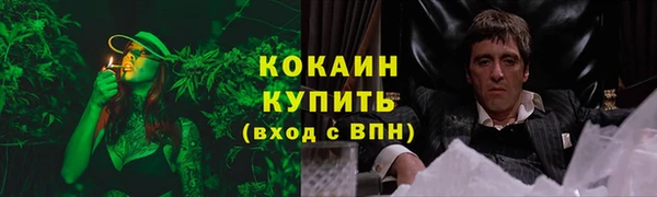 ГАЛЛЮЦИНОГЕННЫЕ ГРИБЫ Богданович