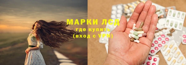 ГАЛЛЮЦИНОГЕННЫЕ ГРИБЫ Богданович