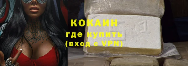 ГАЛЛЮЦИНОГЕННЫЕ ГРИБЫ Богданович