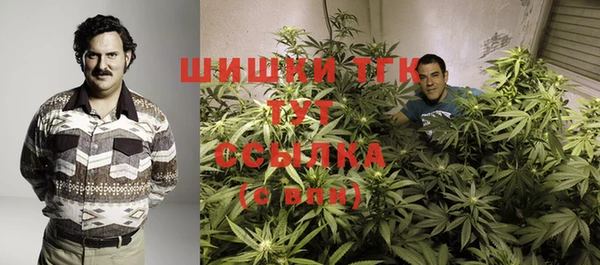 ГАЛЛЮЦИНОГЕННЫЕ ГРИБЫ Богданович