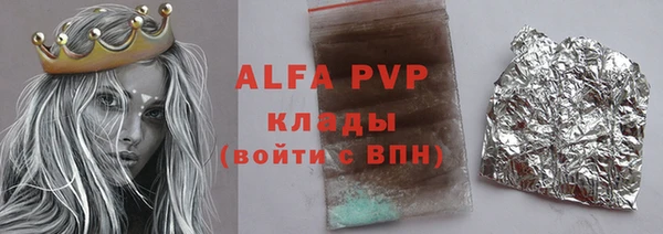 ГАЛЛЮЦИНОГЕННЫЕ ГРИБЫ Богданович